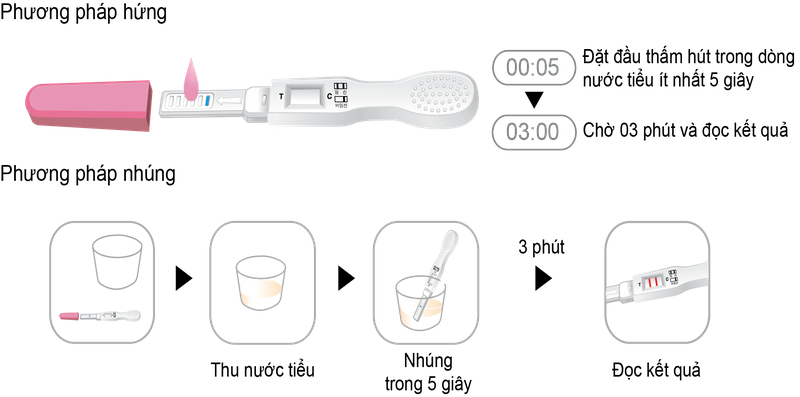 Nên thực hiện kiểm tra vào buổi sáng để có kết quả chính xác nhất