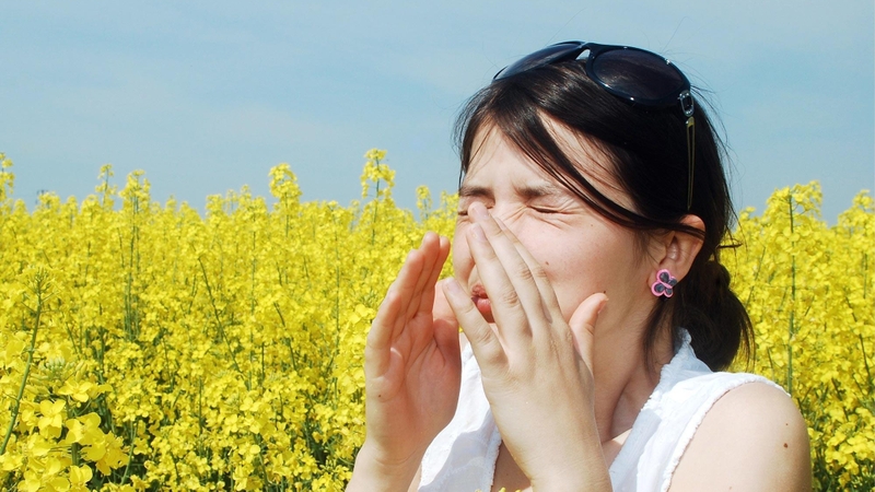 Cơ địa dị ứng là gì và nó có duy truyền không? 2