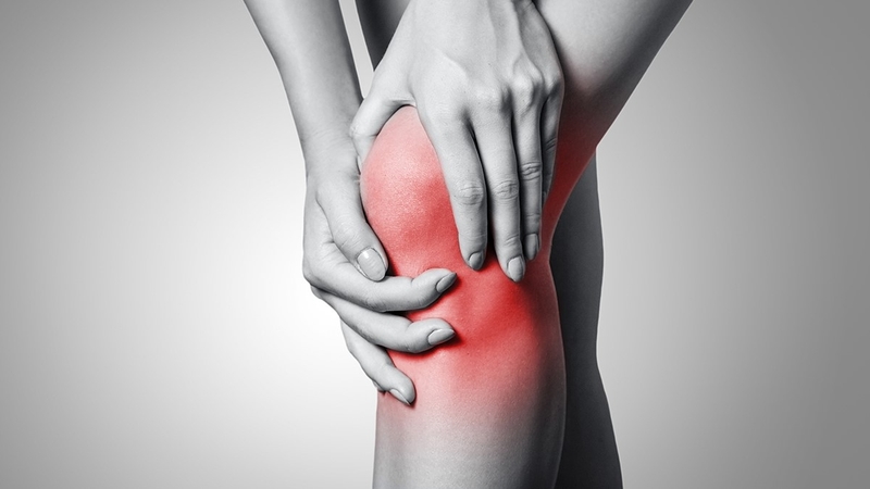 Cỏ máu – cây gỗ biết “chảy máu”&nbsp;4.jpg