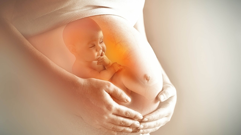 Có mấy loại miễn dịch? Cách tăng cường hệ miễn dịch cho cơ thể 3