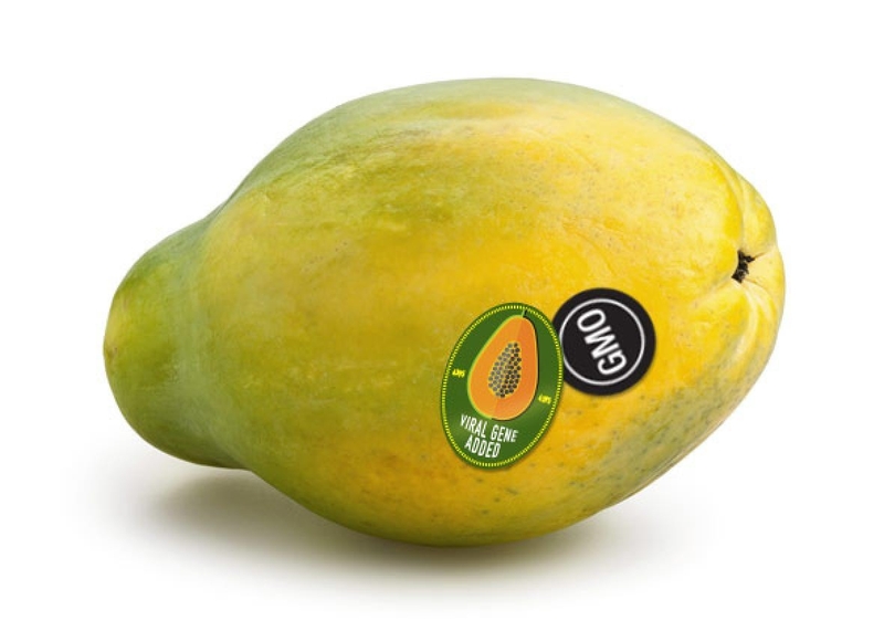 Có nên ăn thực phẩm biến đổi gen hay không? 3