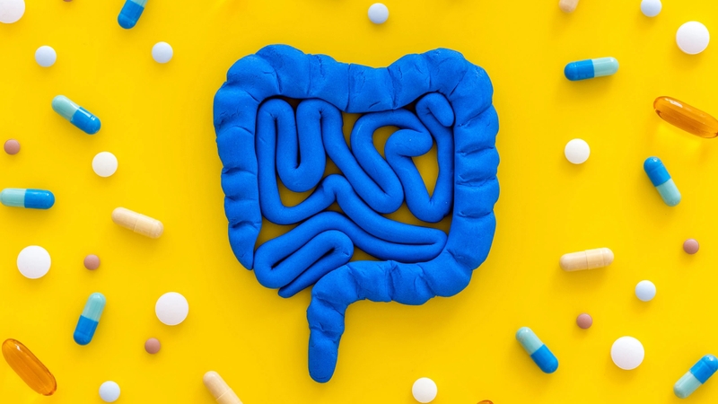 Có nên bổ sung postbiotics? Những điều bạn cần biết về postbiotics