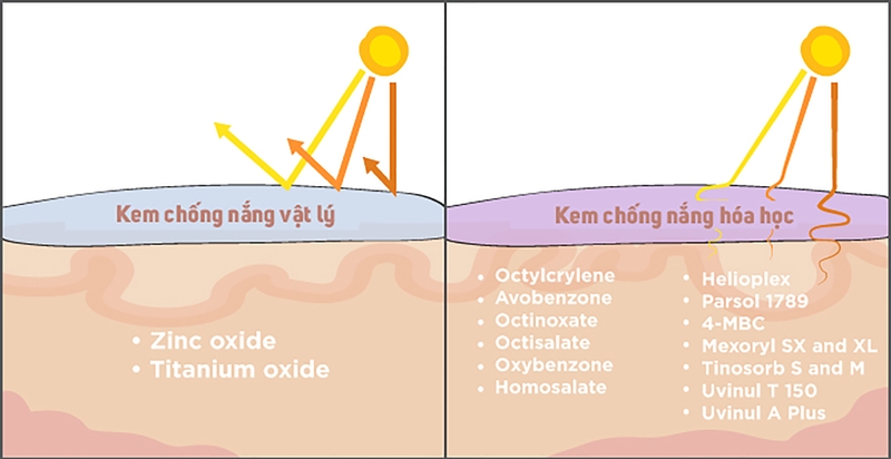 Có nên bôi kem chống nắng trước khi đi ngủ? 3