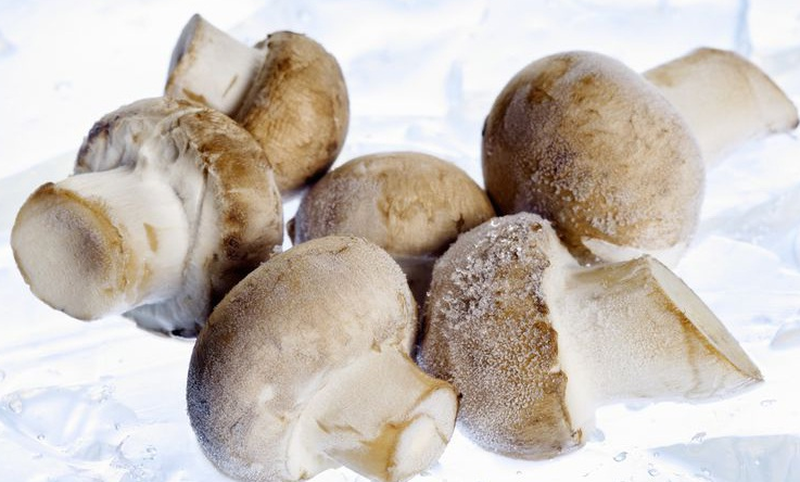 Có nên đông lạnh nấm hay không? Cách đông lạnh nấm chuẩn là gì?