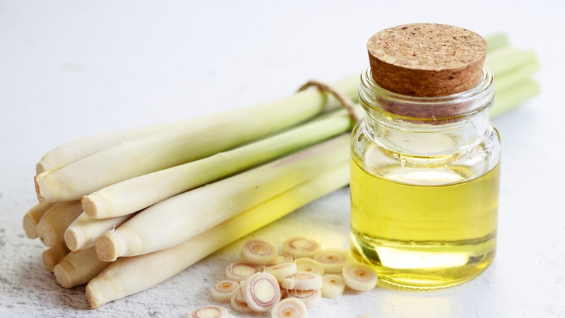 Có nên dùng tinh dầu trị viêm xoang không? Những lưu ý khi chữa viêm xoang bằng tinh dầu 3