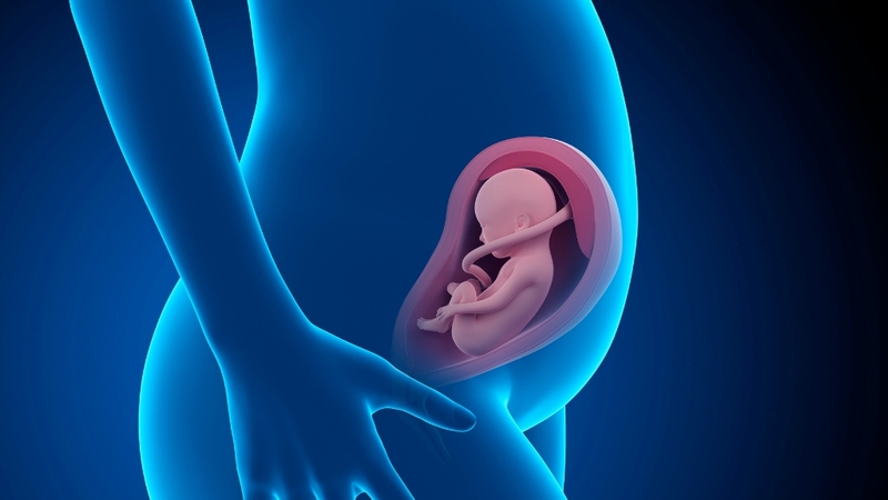 Có nên làm xét nghiệm ADN thai nhi giá rẻ? Những điều bạn cần biết 2