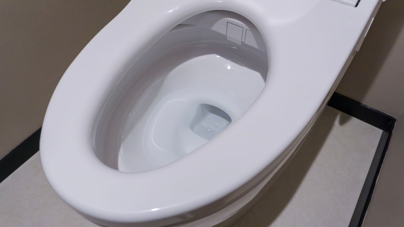 Có nên ngồi xổm trên bồn cầu không?