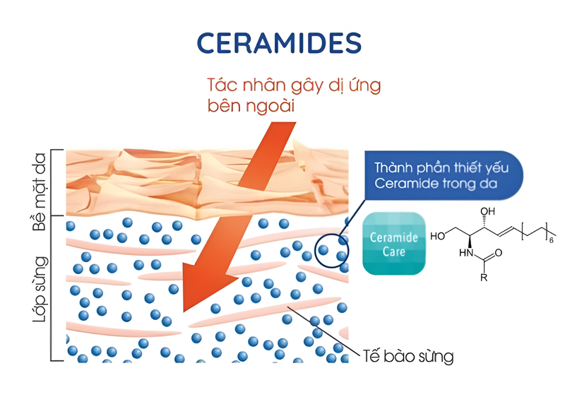 Có nên sử dụng kết hợp Ceramide và Vitamin C hay không? 1