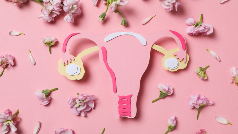 Có nên thu nhỏ cô bé sau khi sinh không và những điều cần lưu ý 1