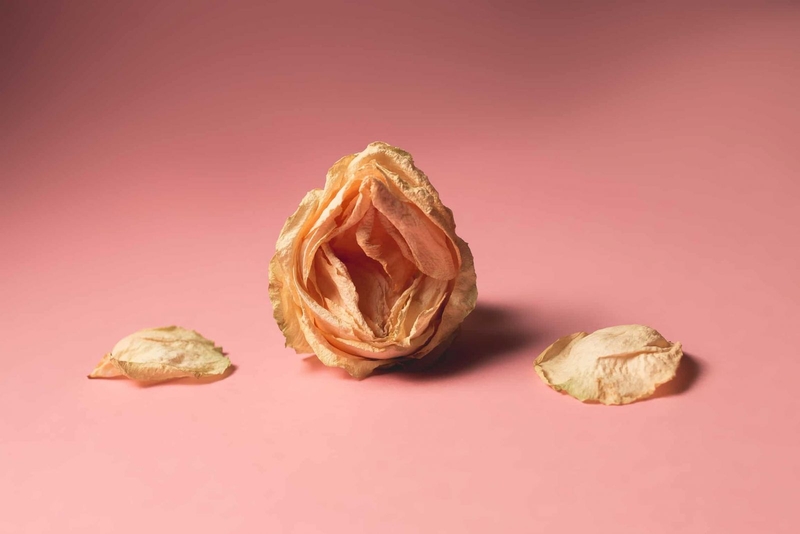 Có nên trị thâm vùng kín bằng laser? Nguyên nhân khiến “cô bé” thâm sạm 3