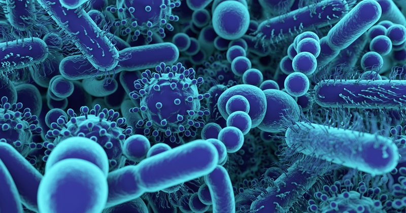 Có nên tự điều trị viêm âm đạo do tạp khuẩn không? 3