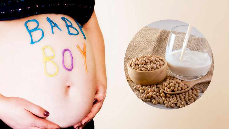 Chưa có bằng chứng khoa học về việc sữa đậu nành ảnh hưởng đến giới tính thai nhi