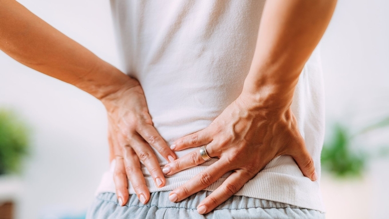 Cơ thắt lưng là gì? Cấu tạo và chức năng cơ thắt lưng 1