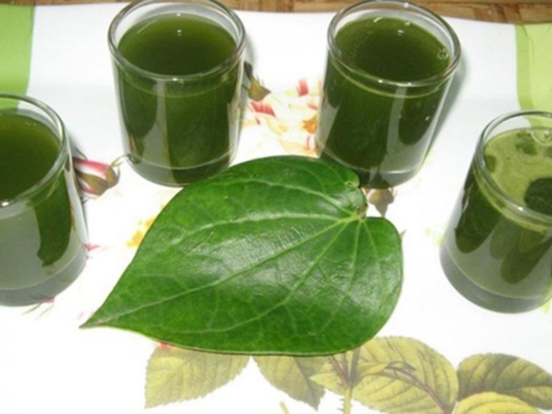 Có thể chữa tổ đỉa bằng lá lốt không? 4