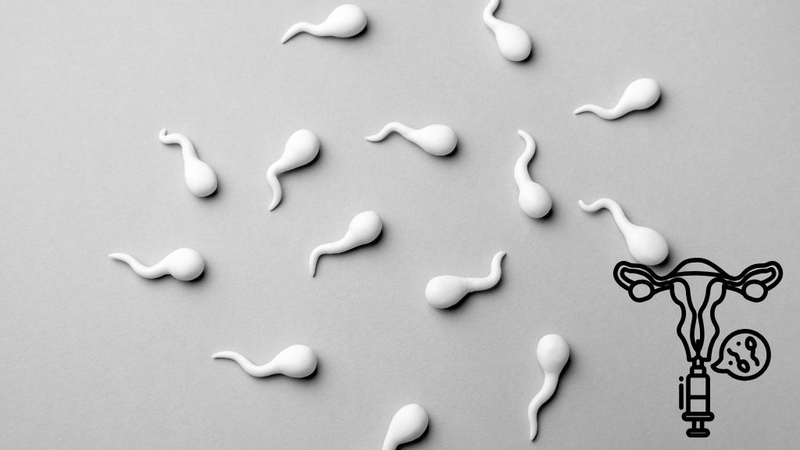 co-the-lam-iui-may-lan-thi-thanh-cong-cau-tra-loi-khien-ban-bat-ngo 4