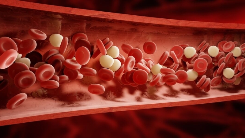 Uống thuốc chống đông máu có nhổ răng được không? 1