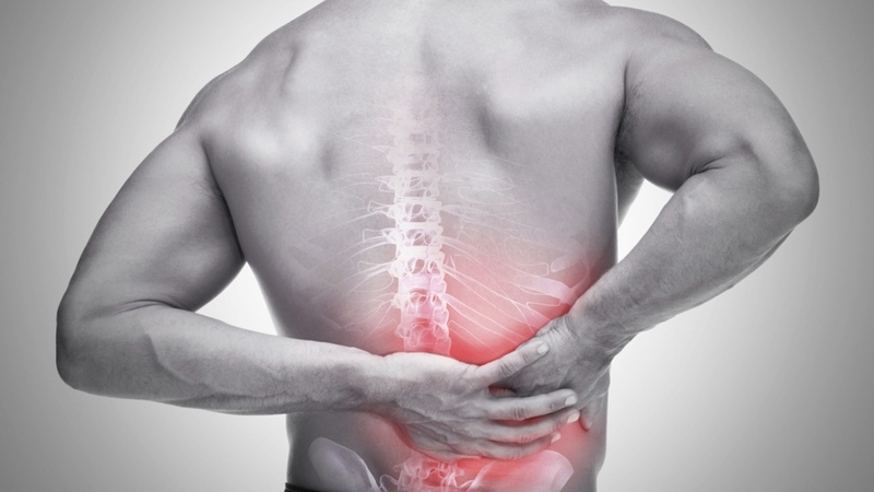 cơ vuông thắt lưng: Cấu tạo, chức năng và bệnh liên quan 3