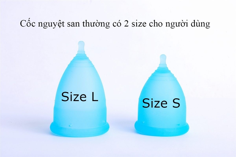Cốc nguyệt san dùng cho đối tượng nào? Có thể thay thế băng vệ sinh không? 3