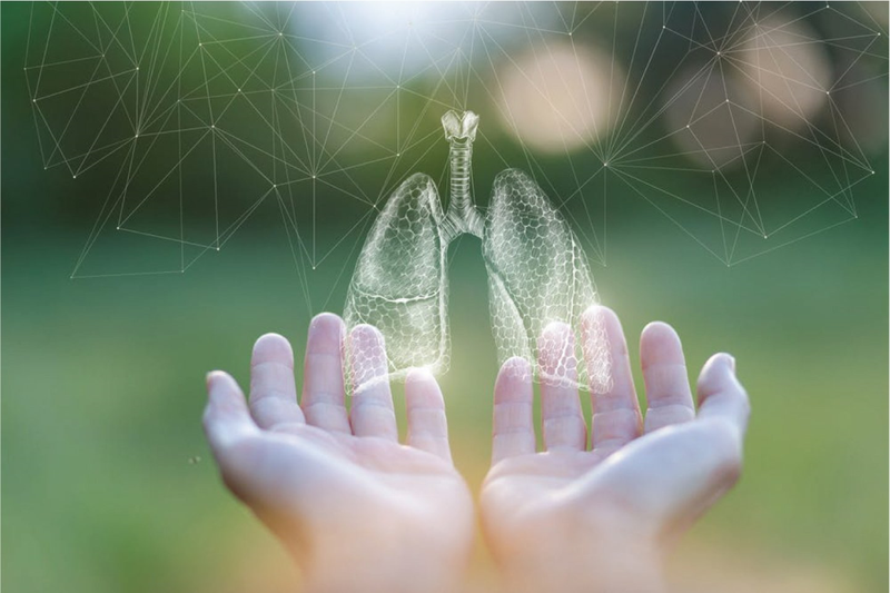 Coenzyme Q10 có trong thực phẩm nào?2