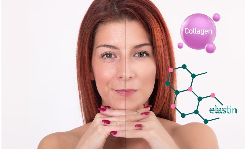 Collagen và elastin có vai trò gì trong da 2