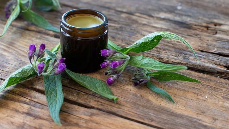 Comfrey: Thành phần và những cảnh báo liên quan đến rủi ro khi sử dụng 3