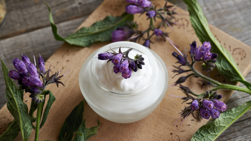 Comfrey: Thành phần và những cảnh báo liên quan đến rủi ro khi sử dụng 4
