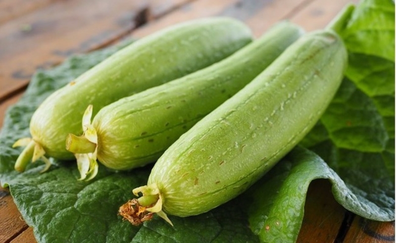 Đau dạ dày có nên ăn mướp hương không? 3