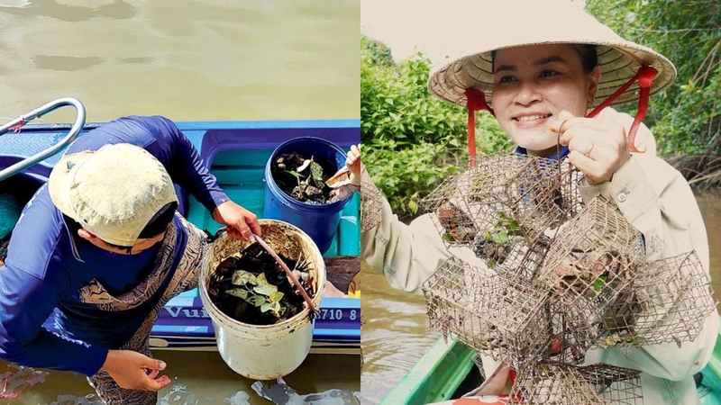 Con chù ụ: Đặc sản Cà Mau giàu dinh dưỡng 4