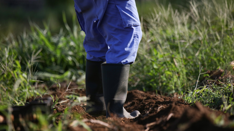 Trang phục kín có thể giúp hạn chế vắt tiếp cận da