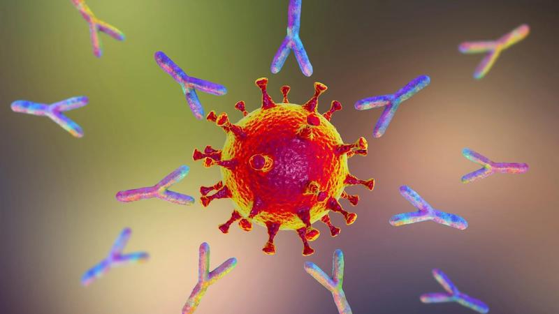 Công cụ AI mới dự đoán các đột biến của virus để giúp phát triển vắc xin COVID trong tương lai 3