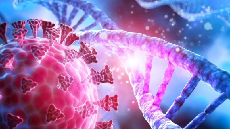 Công cụ AI mới dự đoán các đột biến của virus để giúp phát triển vắc xin COVID trong tương lai 1