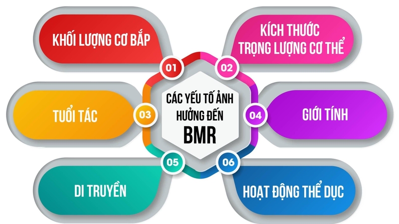 Công cụ tính BMR giúp đạt mức cân nặng chuẩn xác cho nam nữ 3
