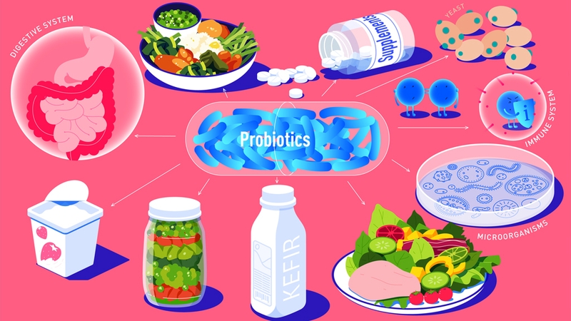 Công dụng của bào tử lợi khuẩn Bacillus đối với trẻ nhỏ 3