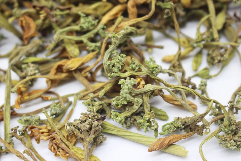 Công dụng của bông đu đủ đực đối với sức khỏe - 5