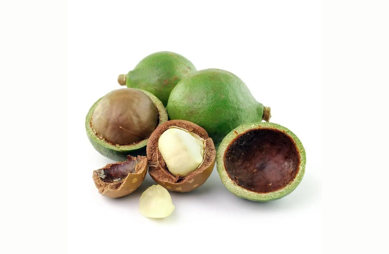 Công dụng của dầu mù u đối với sức khỏe và làm đẹp 1