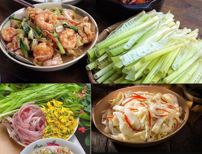 Công dụng của bồn bồn là gì? Bà bầu ăn rau bồn bồn được không? 4