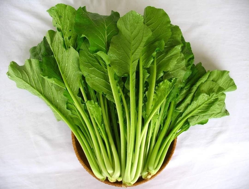 Công dụng của rau cải ngọt đối với sức khỏe con người 4