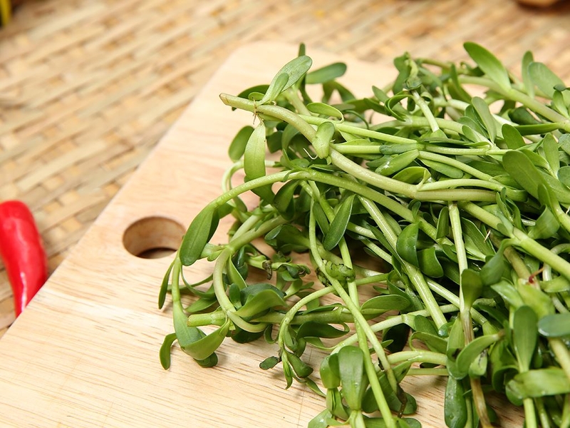 Công dụng của rau đắng với sức khỏe và cách nấu bánh canh cá lóc rau đắng bổ dưỡng 1