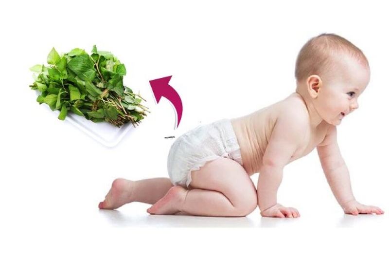 Mách bạn: Cách dùng rau diếp cá trị táo bón cho trẻ sơ sinh tại nhà hiệu quả 2