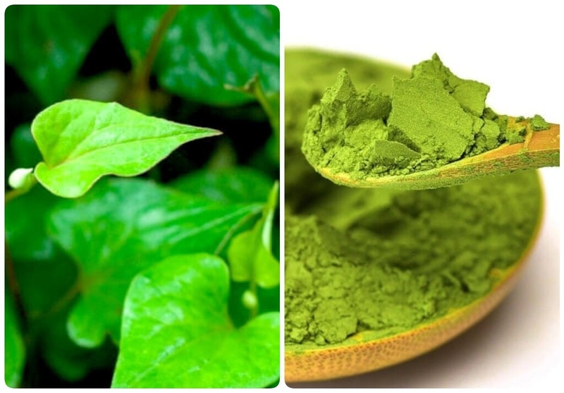 Mách bạn: Cách dùng rau diếp cá trị táo bón cho trẻ sơ sinh tại nhà hiệu quả 4