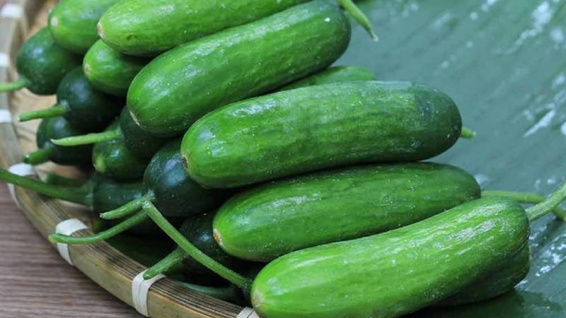 Công dụng giảm cân của dưa leo và cách sử dụng hiệu quả? 1
