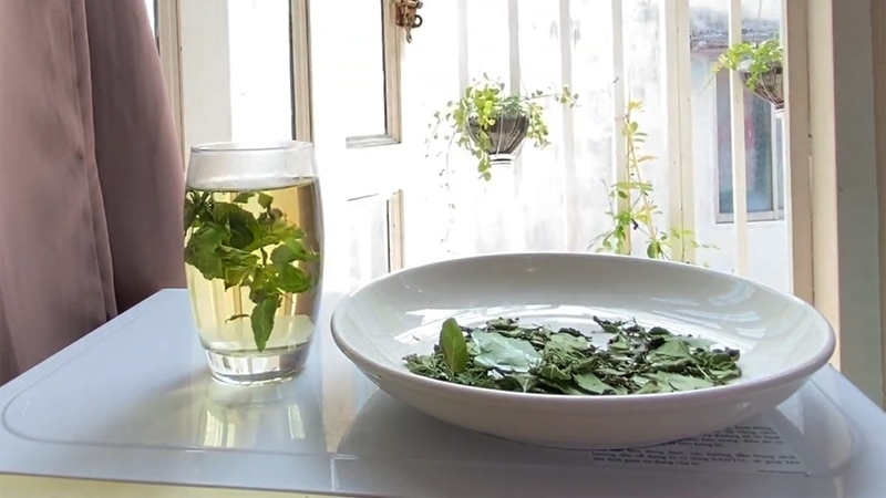 Công dụng ít ai biết của củ bạc hà núi 4