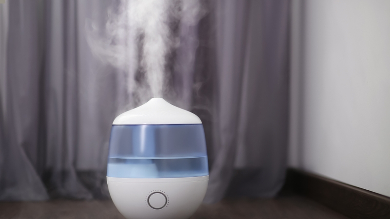Công dụng máy tạo độ ẩm: Tác động đến sức khỏe và môi trường 1