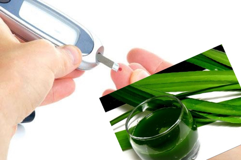 Công dụng thần kỳ của lá dứa hạ đường huyết cho người bị tiểu đường 2