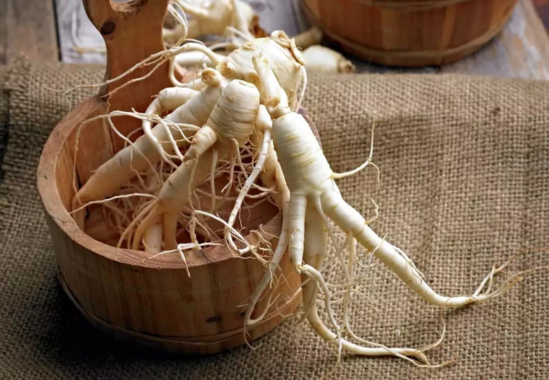 Công dụng tuyệt vời của Sâm Ngọc Linh ngâm mật ong với sức khỏe 3