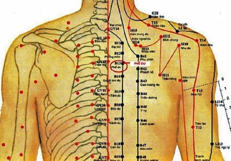 Có thể kết hợp huyệt Phế Du với một số huyệt vị khác để tăng hiệu quả điều trị