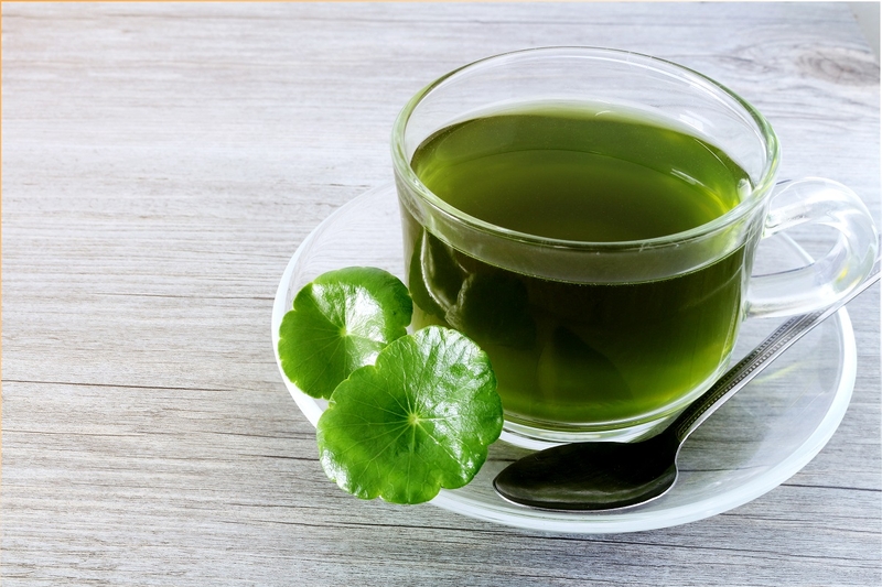 Công dụng và một số lưu ý khi sử dụng rau má. Uống rau má có mất ngủ không? 2