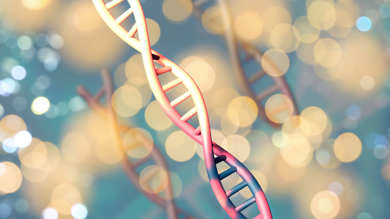 Làm tổn thương cấu trúc DNA