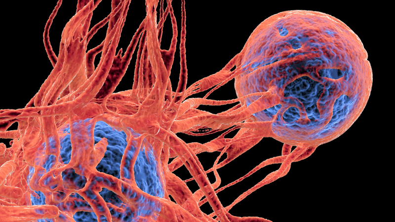 Ứng dụng trong điều trị ung thư