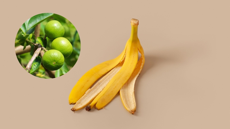 Công thức làm mặt nạ dưỡng sáng da từ vỏ chuối 3